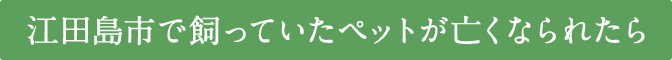 江田島市で飼っていたペットが亡くなられたら