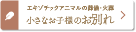 エキゾチックアニマルの葬儀・火葬「小さなお友達のお別れ」